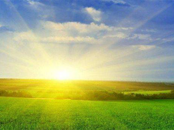 2020H1，錦州陽光戮力同心、運(yùn)營達(dá)滿產(chǎn)