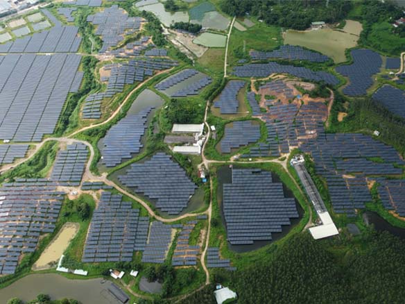 全球足跡 | 抗臺風(fēng)技能拉滿！陽光能源助力廣東省開平市150MW光伏項目實現(xiàn)三重收益