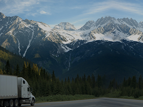 打造綠色典范工程！陽光能源助力中廣核新能源吉林白城項目順利開工