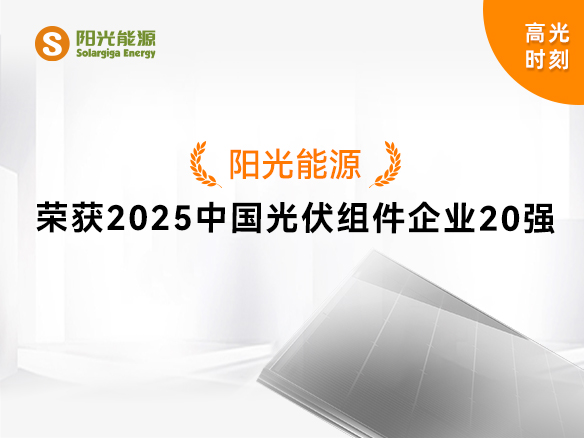高光時(shí)刻 | 陽(yáng)光能源實(shí)力登榜“2025中國(guó)光伏組件企業(yè)20強(qiáng)”